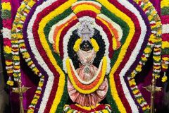 WhatsApp-Image-2024-06-03-at-08.57.37