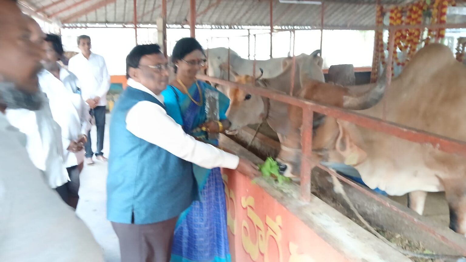 WhatsApp Image 2025-12-05 at 10.13.14 PM (2) - Copy